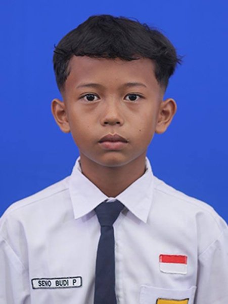 Seno Budi Praditya